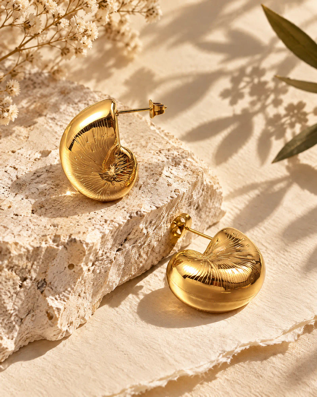 Coiled Nautilus Shell Studs resting on textured limestone