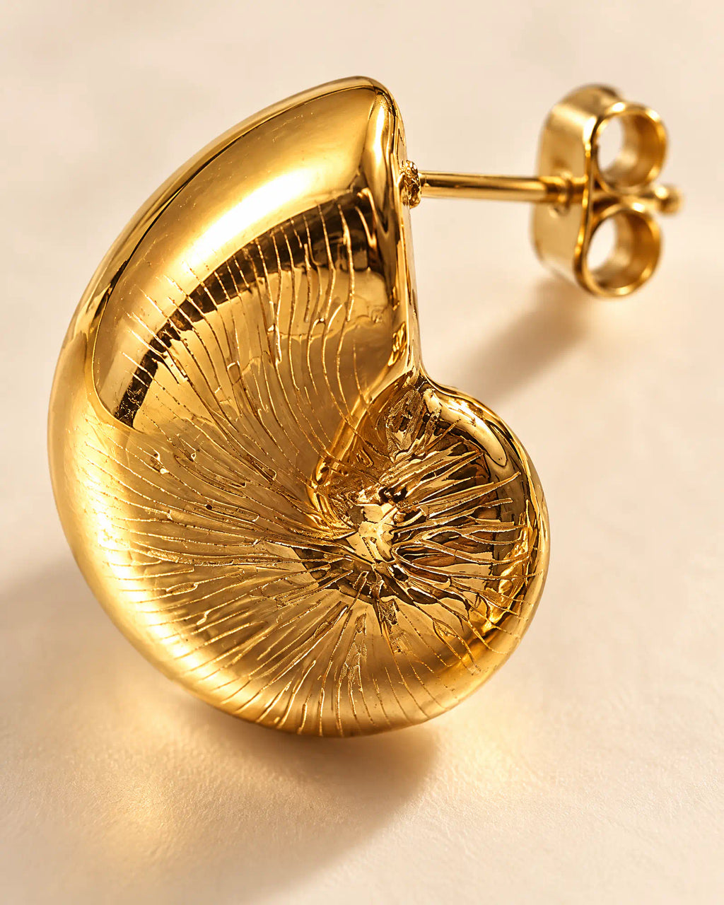 Macro detail of coiled spiral whorl and radiant striations on shell stud earring