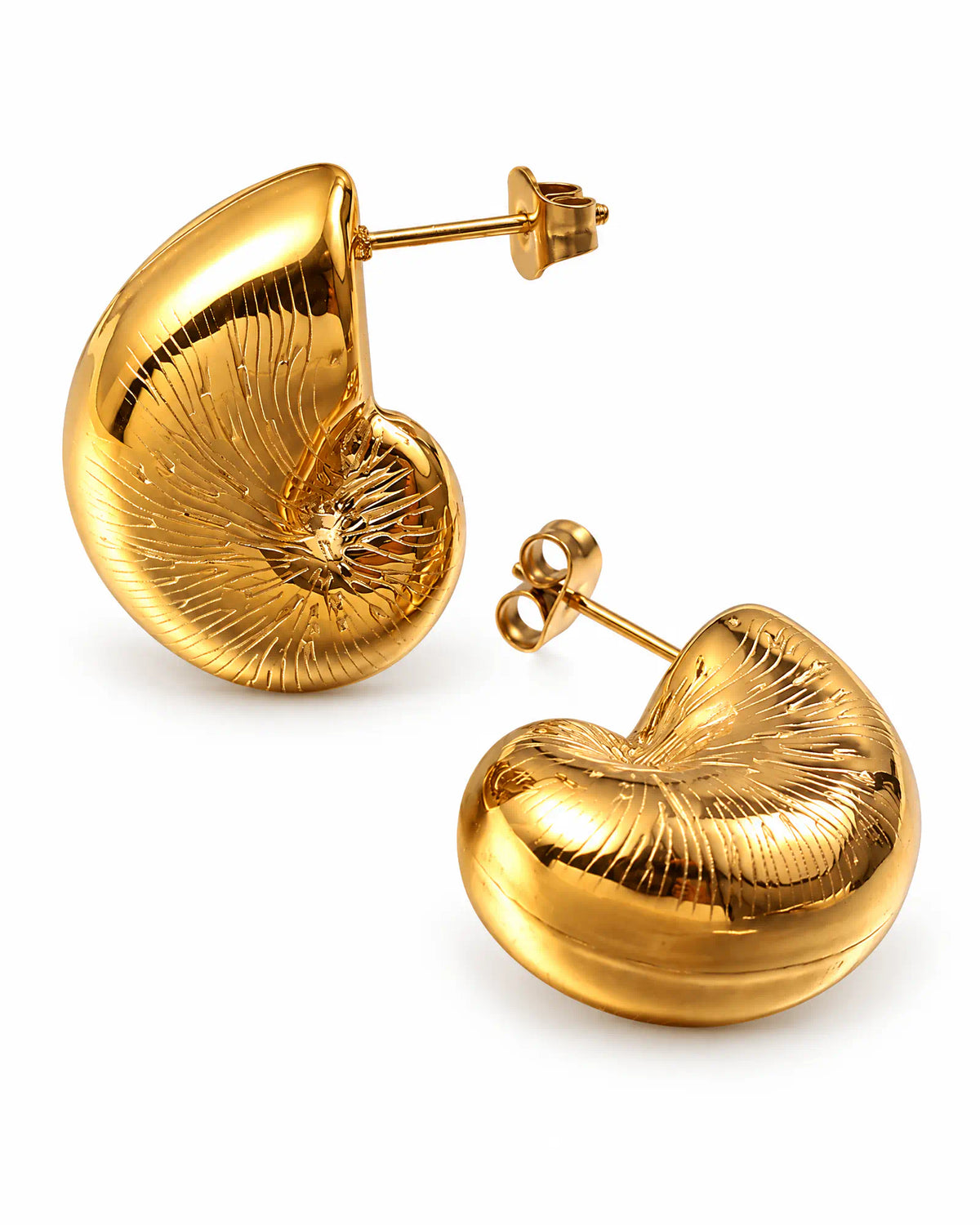 Coiled Nautilus Shell Studs hero pair on white background